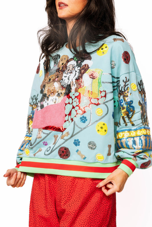 QUEEN OF SPARKLES Aqua Dogs on Santas Sleigh Sweatshirt