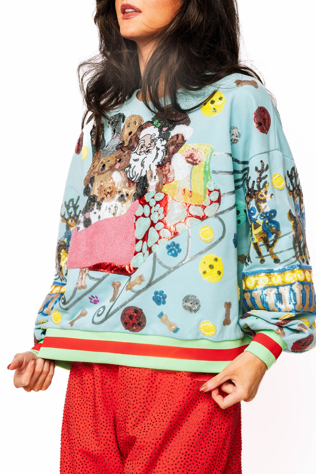QUEEN OF SPARKLES Aqua Dogs on Santas Sleigh Sweatshirt